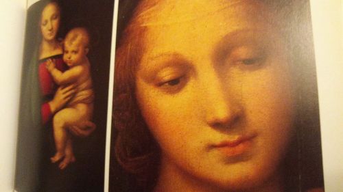 文藝復興之後，歐洲終於再次會畫美麗的人像。本圖為拉斐爾的聖母畫像，翻拍自《西洋藝術史》。